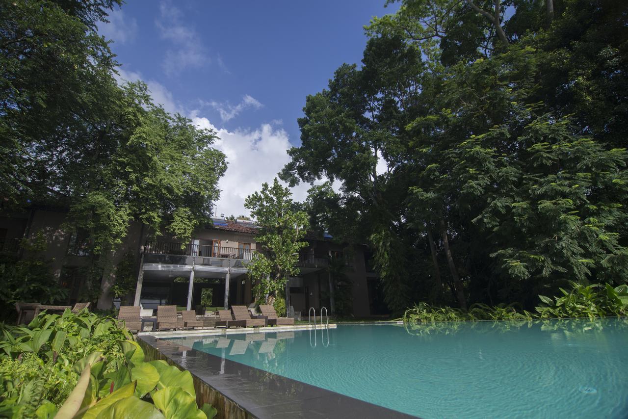 Roman Lake Ayurveda Boutique Resort - Level 1 Certified Ahungalla Εξωτερικό φωτογραφία